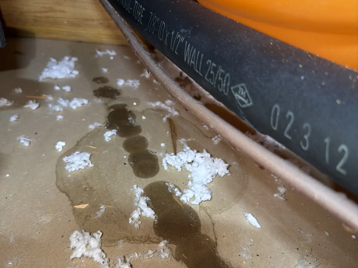 Condensation drip stains under an attic refrigerant line found during an inspection