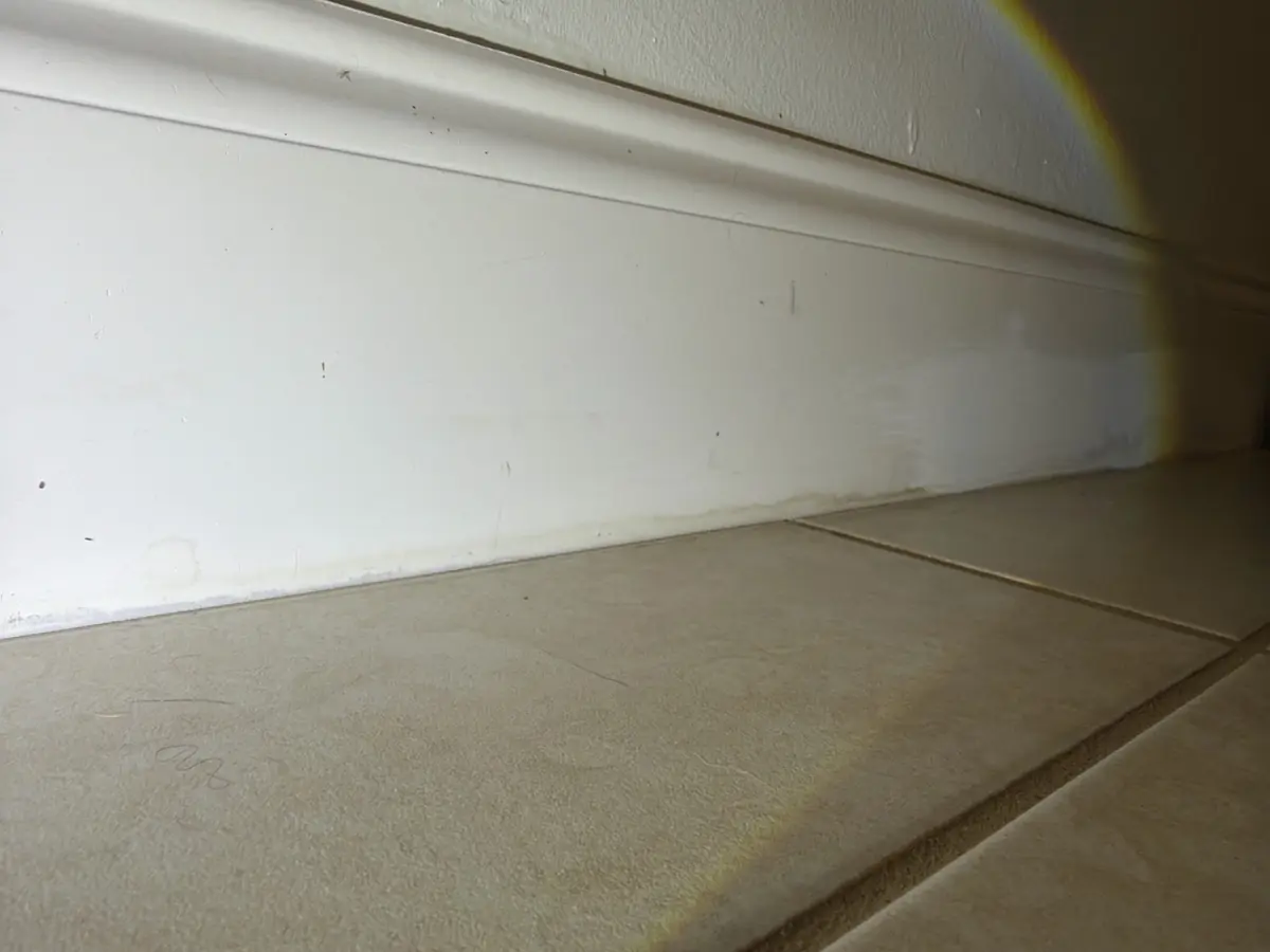 Water staining along a baseboard, the kind of finding explained in a home inspection report
